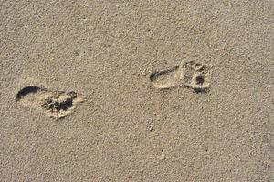 empreintes de pas dans le sable photo