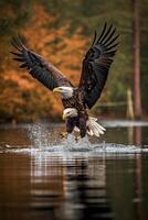 américain chauve Aigle plongée vers mer proche en haut photo génératif ai