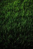 champ de Frais vert herbe texture comme une arrière-plan, Haut proche en haut voir. génératif ai. photo