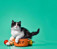 Petit chaton moelleux noir et blanc à côté d'un bol orange avec soupe et légumes photo