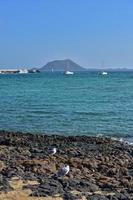 vue de le plage et bleu océan sur le canari île fuerteventura dans Espagne photo