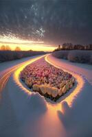 champ de tulipes dans le neige à le coucher du soleil. génératif ai. photo
