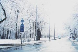 hiver paysage avec Frais neige et des arbres photo