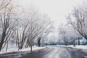 hiver paysage avec Frais neige et des arbres photo