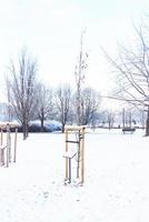hiver paysage avec Frais neige et des arbres photo