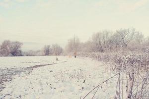 hiver paysage avec Frais neige et des arbres photo