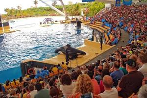 une spectacle de noir et blanc mammifères dans le zoo photo