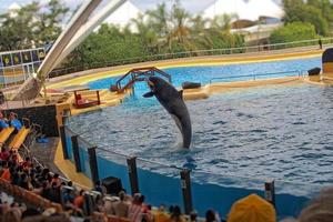 une spectacle de noir et blanc mammifères dans le zoo photo