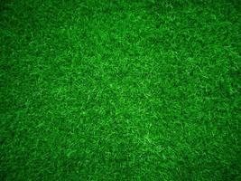 vert herbe texture Contexte herbe jardin concept utilisé pour fabrication vert Contexte Football terrain, herbe le golf, vert pelouse modèle texturé arrière-plan... photo