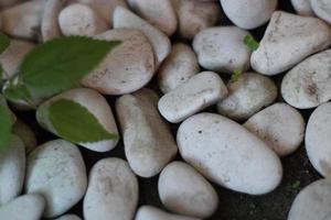 irrégulier grappes de blanc des pierres photo