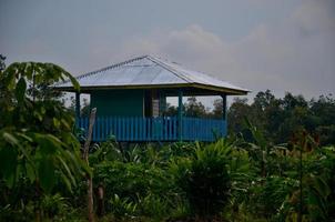 une bleu cabine fabriqué de les bois dans le milieu de le forêt photo