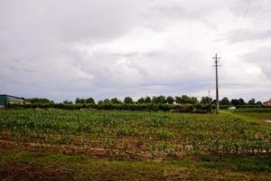 scénique rural paysage photo