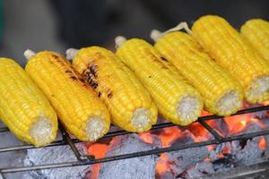 fermer grillé blé légume nourriture Contexte photo