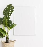 plante décorative avec cadre vide photo