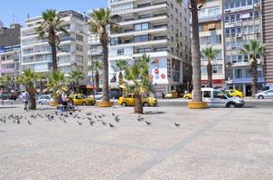 pigeons sur le sol et dans le air photo