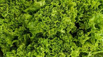 Haut vue de salade texture, légume Contexte concept photo