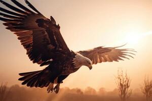 un Aigle s'échapper le Soleil sur le ailes de liberté établi avec génératif ai technologie. photo