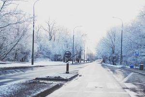 hiver paysage avec Frais neige et des arbres photo