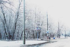 hiver paysage avec Frais neige et des arbres photo