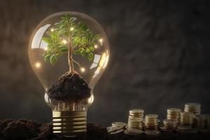 vert énergie investissement - les plantes croissance sur argent et arbre dans ampoule photo