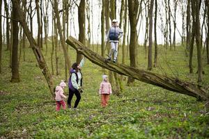 mère avec des gamins et garçon grimpé une abattu arbre dans printemps forêt. content enfance des moments. photo