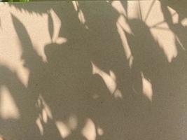 feuilles ombre Contexte sur béton mur texture, ombre avec lumière du soleil photo