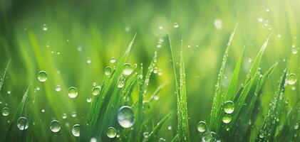 le herbes avec gouttes de pluie et ai généré. photo