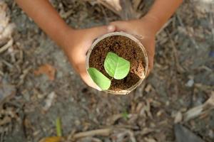 enfant en portant Jeune semis plante dans main pour plantation dans sol. Terre journée concept photo