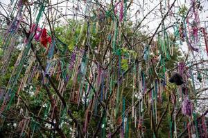 perles de mardi gras photo