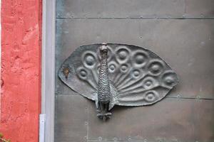 porte manipuler oiseau photo