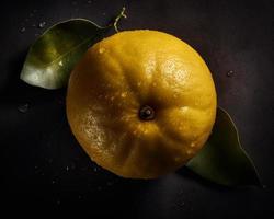 Frais citron élégant fruit photo