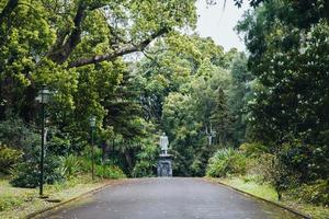 jardim botanique jose faire chant dans Ponta delgada, sao miguel, le Açores photo