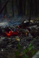 embrasé charbons de brillant rouge couleur. fumée plus de le charbons. chaud charbons brûler avec bois. le fumant charbons dans le forêt. photo