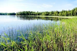 vue panoramique sur la rivière photo