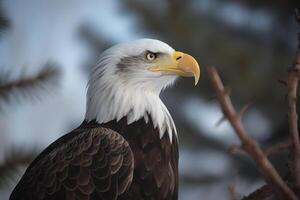 une proche en haut de un Aigle avec une floue Contexte. ai généré photo