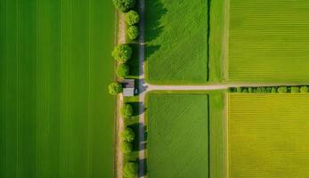 génératif ai, ferme paysage, agricole des champs, magnifique campagne, pays route. la nature illustration, photoréaliste Haut vue drone, horizontal bannière. photo