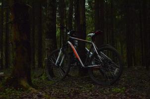 vélo près le arbre. en voyageant à le forêt par vélo. soir dans le forêt. loisirs. photo