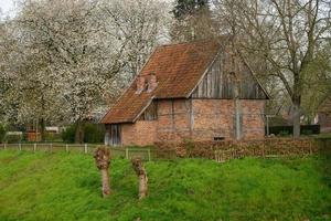 le printemps en westphalie photo