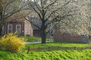 le printemps en westphalie photo