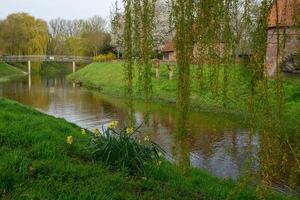 le printemps en westphalie photo