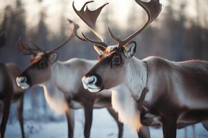 santas renne. Noël vacances. ai généré photo