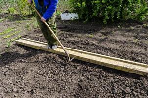 une homme se desserre le sol, et fait du même Lignes pour plantation des graines dans le jardin, une Nouveau croissance saison sur un biologique cultiver. photo