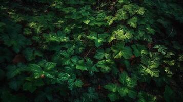 vert forêt feuilles, ai généré image photo