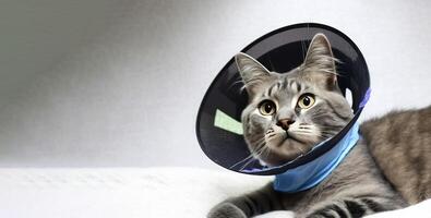 une malade gris chat mensonges avec une médical collier. ai généré. photo