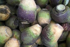 empiler de rutabagas sur une marché stalle photo