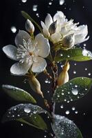 blanc fleur avec l'eau gouttelettes sur il. génératif ai. photo