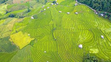 Vue aérienne des rizières en terrasses vertes