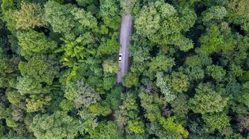 Vue de dessus aérienne voiture roulant à travers la forêt sur route de campagne, vue depuis un drone