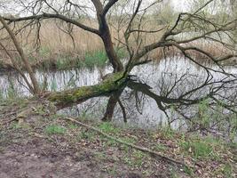 panorama de le rivière dans le village photo