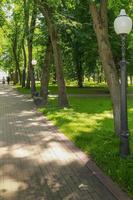 ruelle dans le été parc sur une ensoleillé journée. photo